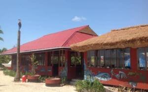 WhatsApp-Image-2025-07-17-at-03.44.43-730x456